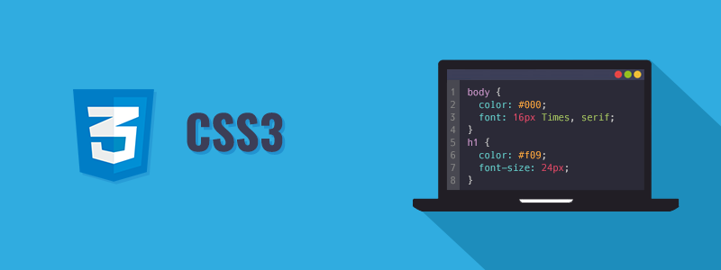 CSS is the language developers can use to style a website. The style sheet language describes how your website is presented and its layout.
